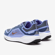 Nike Womens Pegasus 41 GORE-TEX