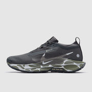 Nike Pegasus Trail 5 GORE-TEX