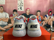 Nike Basketball Sneakers in White, Blue and Red
