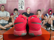 Nike Basketball Shoes Red and Gray