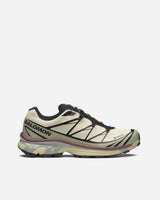 XT-6 GTX Asparragus Tea Brown Choco