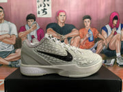 Nike All-Star 2.0 Basketball Shoes in White and Gray