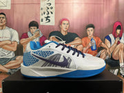 Nike Basketball Shoes White and Blue