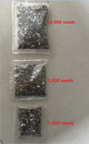 💝Mixed Perennial Flowers Seeds30- 60kinds mixed