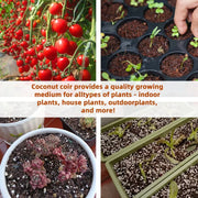 ✨Premium Organic Coconut Coir Bricks for Plants（Size：5*1.5cm）